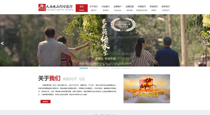 大唐映畫傳媒（武漢）股份有限公司首頁第一屏截圖
